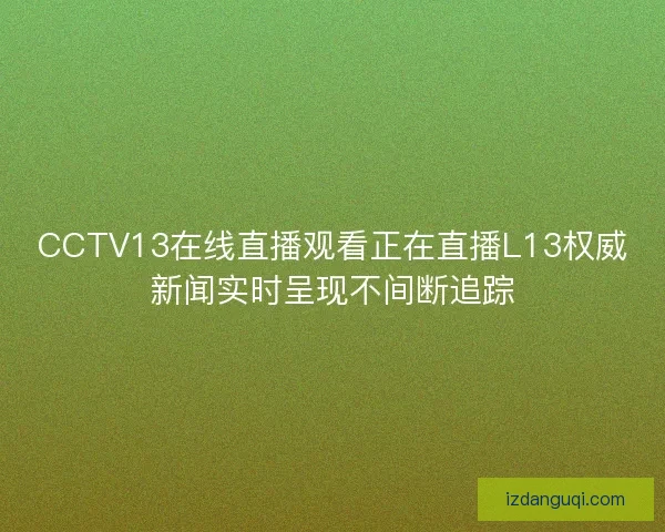 CCTV13在线直播观看正在直播L13权威新闻实时呈现不间断追踪