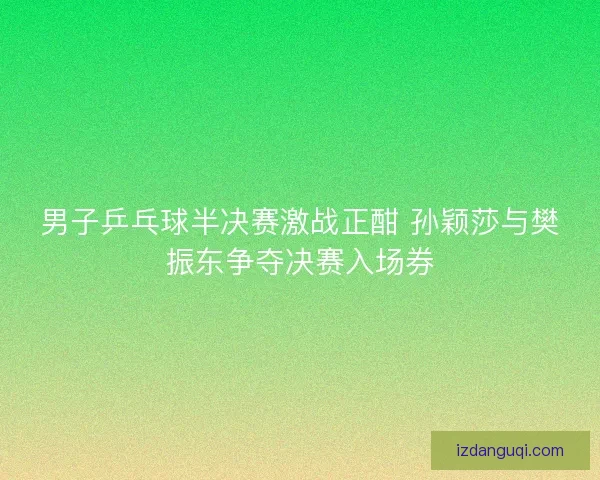 男子乒乓球半决赛激战正酣 孙颖莎与樊振东争夺决赛入场券
